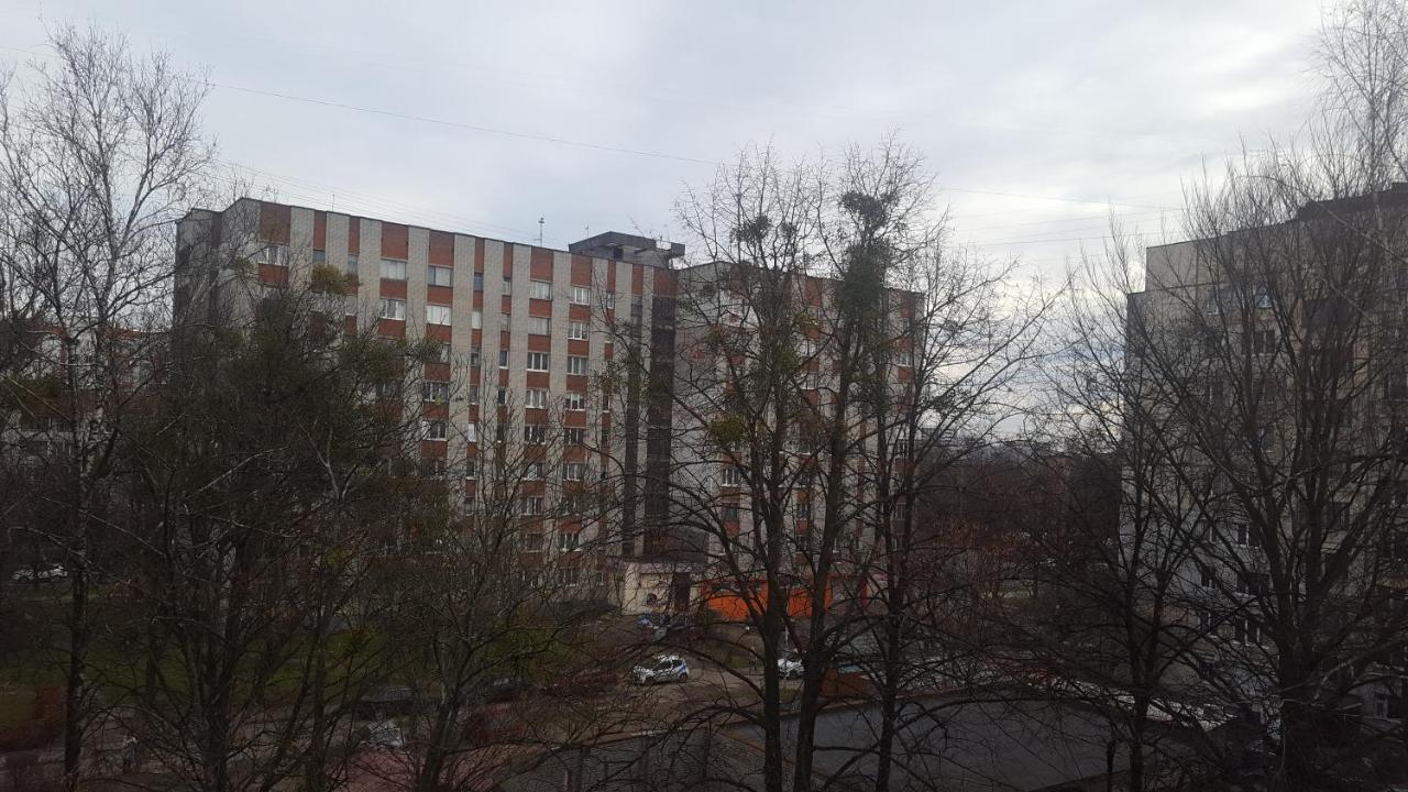 Apartment Naukova